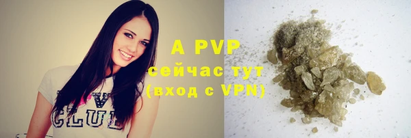mdpv Гусиноозёрск