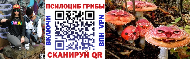 Псилоцибиновые грибы мухоморы  магазин продажи наркотиков  Буйнакск 
